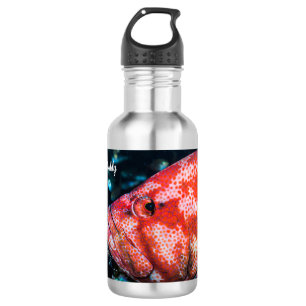 Bouteille D'eau Crevettes de groupage et de nettoyage