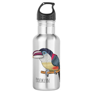 Bouteille D'eau Curl crested aracari bird cartoon
