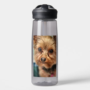 Bouteille D'eau Cute