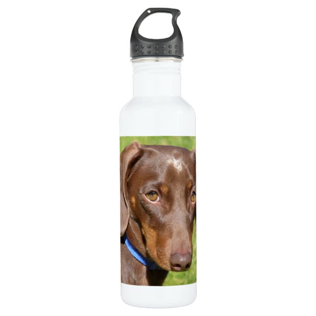 Bouteille D'eau Dachshund (Devant)