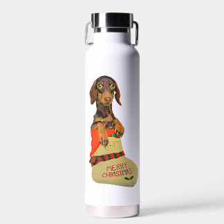 Bouteille D'eau Dachshund dans une réserve de Noël du Père Noël