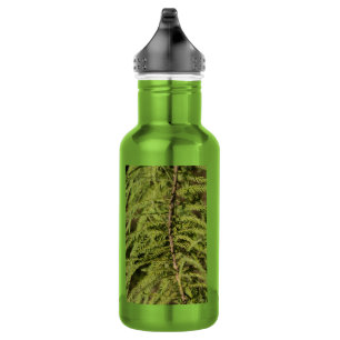 Bouteille d'eau de la Bouteille Cypress Bald