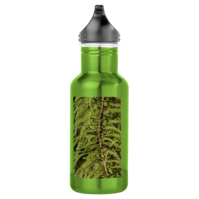 Bouteille d'eau de la Bouteille Cypress Bald (Droite)