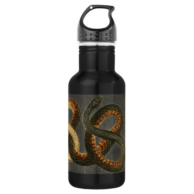 Bouteille d'eau de serpent de Coachwhip (Devant)