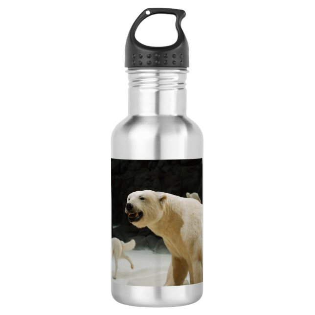 Bouteille d'eau de soupe à l'ours polaire (Devant)