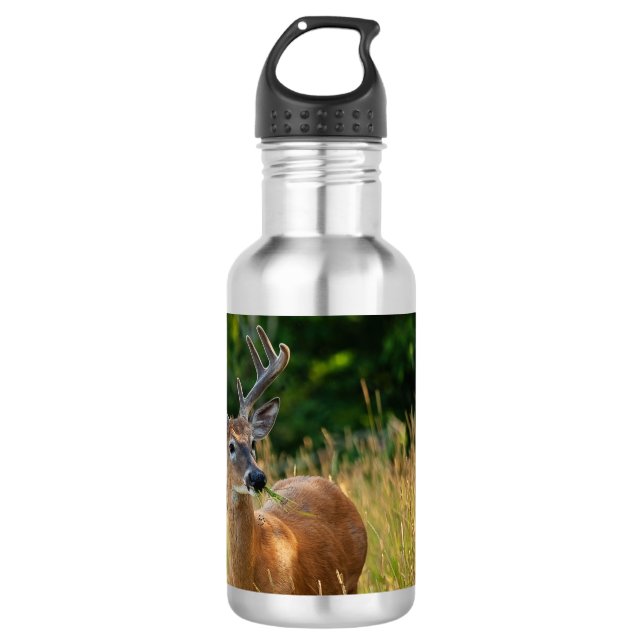 Bouteille D'eau Deer Buck (Devant)