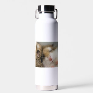 Bouteille D'eau Déplacer vers Bob