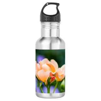 Bouteille D'eau désir