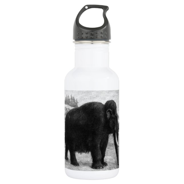 Bouteille D'eau Destin de mod de mammouth laineux (Devant)