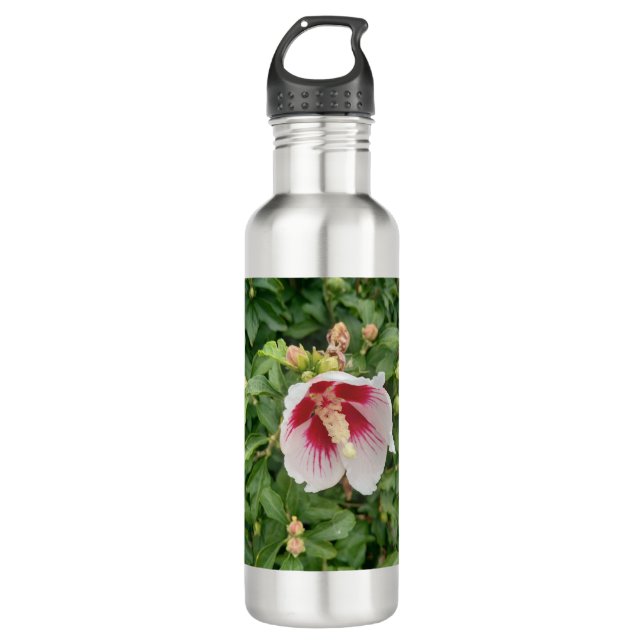 Bouteille d'eau d'Hibiscus blanc (Devant)
