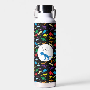 Bouteille D'eau Dinosaures colorés Motif pour enfants