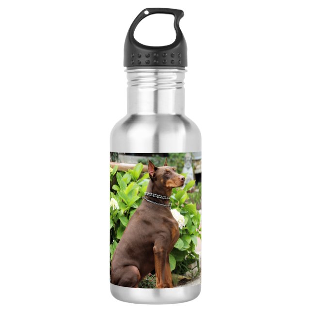 Bouteille D'eau Dobermann - dans le jardin d'église (Devant)