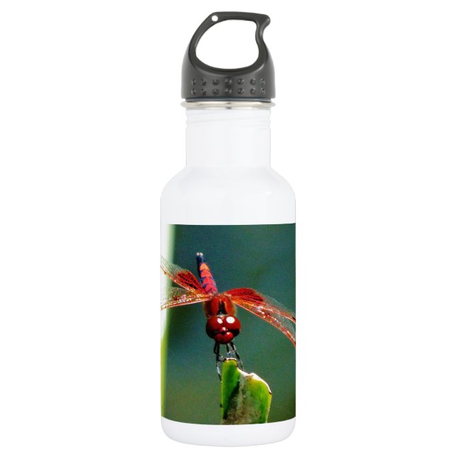 Bouteille D'eau Dragonfly frontale rouge et noire (Devant)
