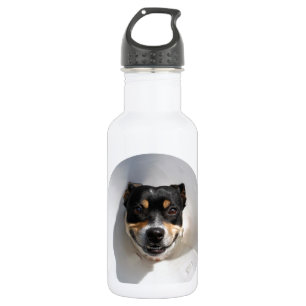 Bouteille D'eau Drôle chien souriant