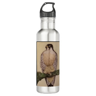 Bouteille D'eau Duckhawk Water Bottle