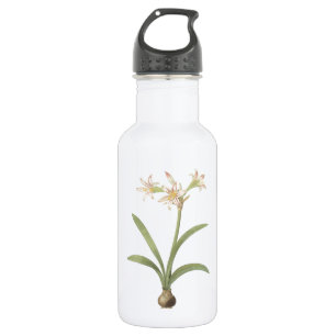 Bouteille D'eau En Acier Inoxydable amaryllis(Amaryllis vittata) par Redouté