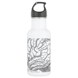 Bouteille D'eau En Acier Inoxydable Anatomie vintage de cerveau