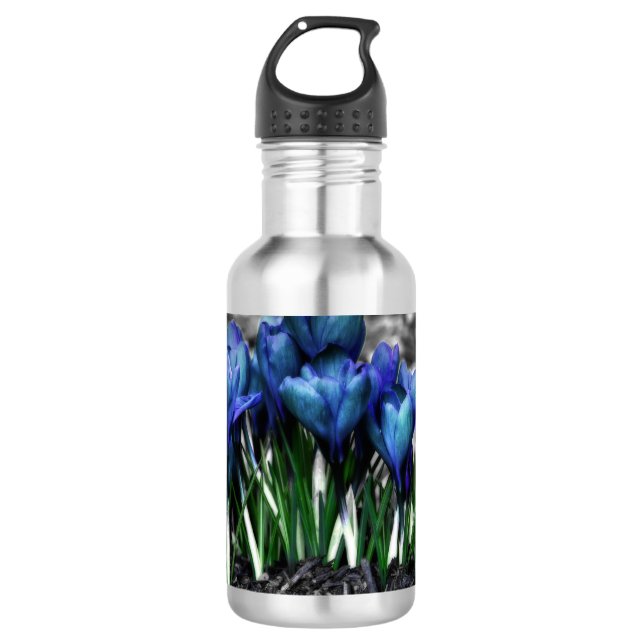 Bouteille D'eau En Acier Inoxydable Aqua Blue Crocus Blooms (Devant)