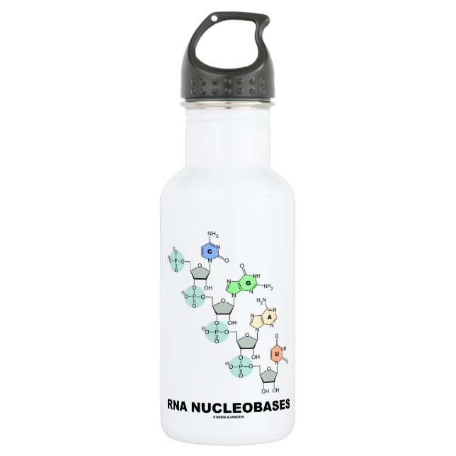 Bouteille D'eau En Acier Inoxydable ARN Nucleobases (biochimie) (Devant)