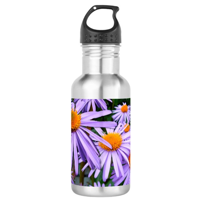 Bouteille D'eau En Acier Inoxydable Aster (Devant)