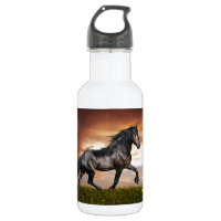 Beau cheval