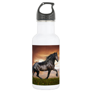 Bouteille D'eau En Acier Inoxydable Beau cheval