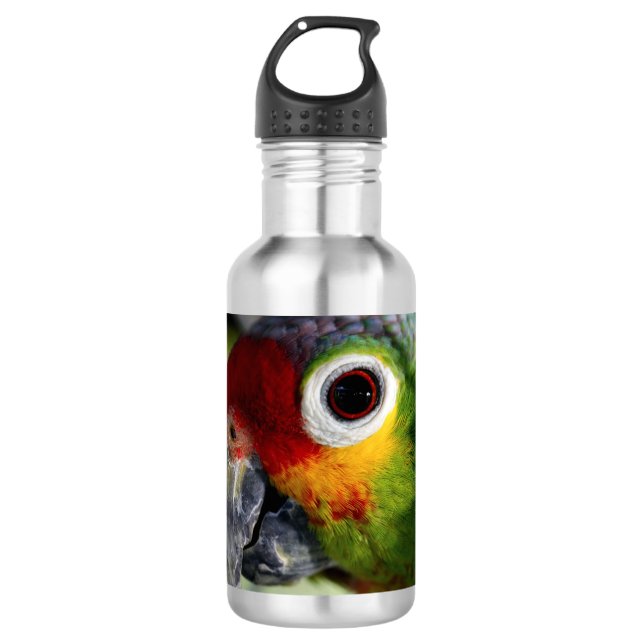 Bouteille D'eau En Acier Inoxydable Beau perroquet (Devant)