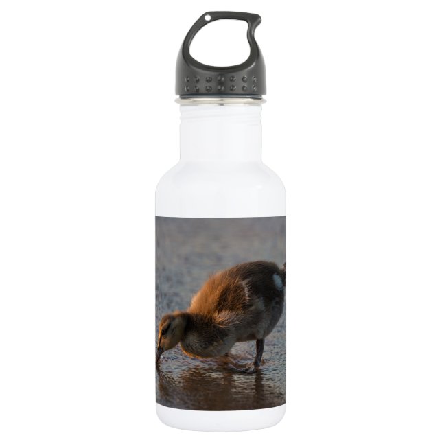 Bouteille D'eau En Acier Inoxydable Bébé soif (Devant)