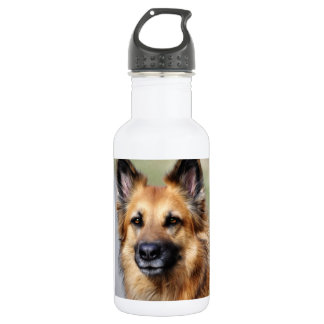 Bouteille D'eau En Acier Inoxydable Berger allemand