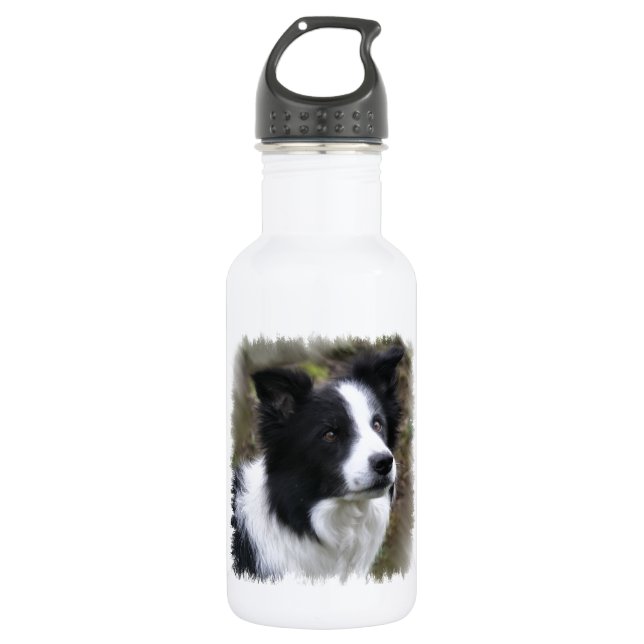Bouteille D'eau En Acier Inoxydable Border collie art (Devant)