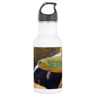 Bouteille D'eau En Acier Inoxydable Brook Trout