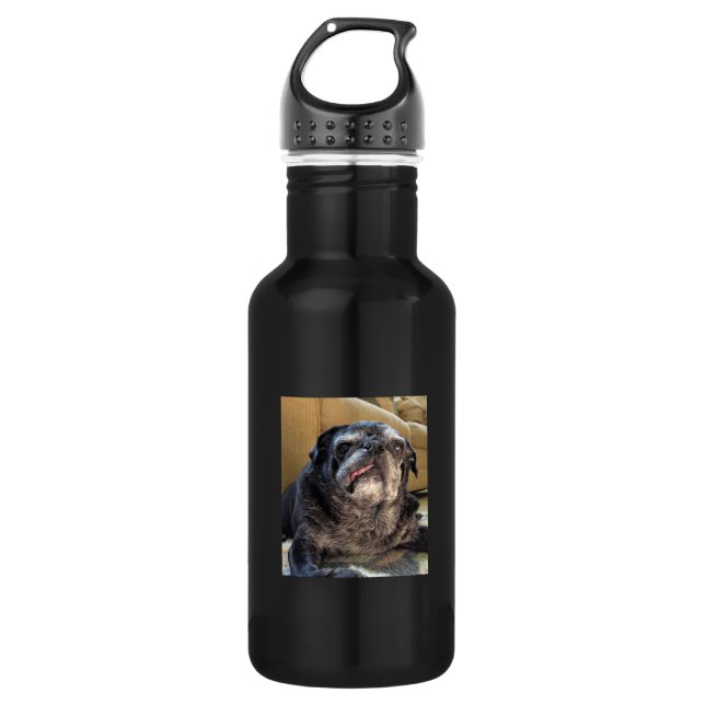 Bouteille D'eau En Acier Inoxydable Bumblesnot (Devant)