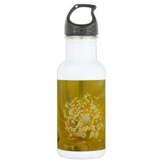 Bouteille D'eau En Acier Inoxydable Cactus jaune en fleurs