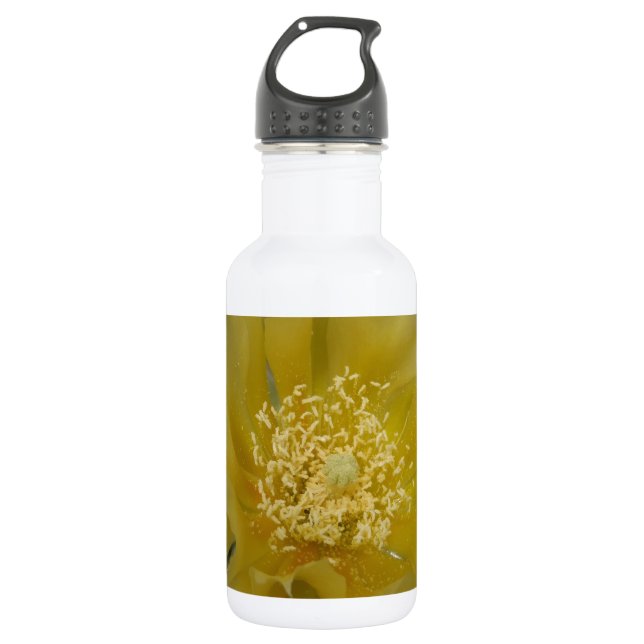 Bouteille D'eau En Acier Inoxydable Cactus jaune en fleurs (Devant)