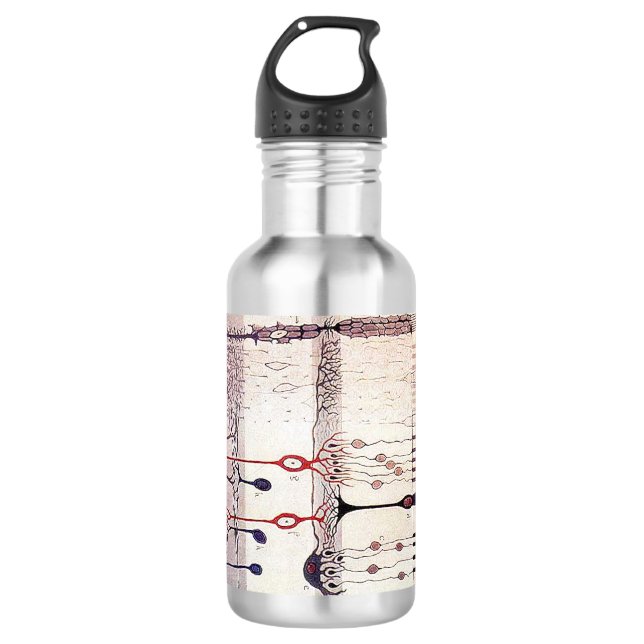 Bouteille D'eau En Acier Inoxydable Cajal (Devant)