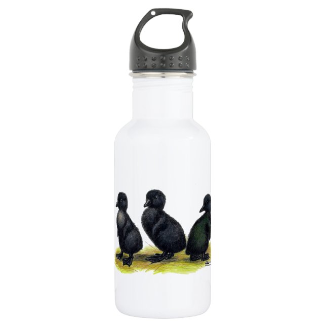 Bouteille D'eau En Acier Inoxydable Canetons Black Cayuga (Devant)