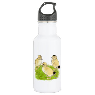 Bouteille D'eau En Acier Inoxydable Canetons Silver Appleyard
