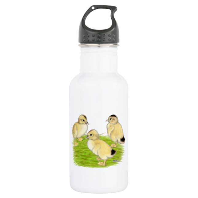 Bouteille D'eau En Acier Inoxydable Canetons Silver Appleyard (Devant)