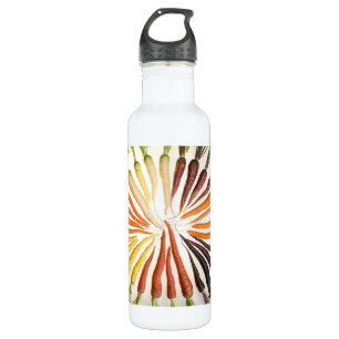 Bouteille D'eau En Acier Inoxydable Carottes Légumes Coloré Arc-en-ciel Jardin Motif