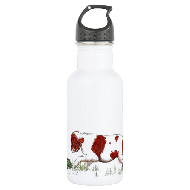 Bouteille D'eau En Acier Inoxydable Cavalier King Charles Spaniel (Devant)