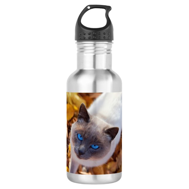 Bouteille D'eau En Acier Inoxydable Chat d'automne (Devant)