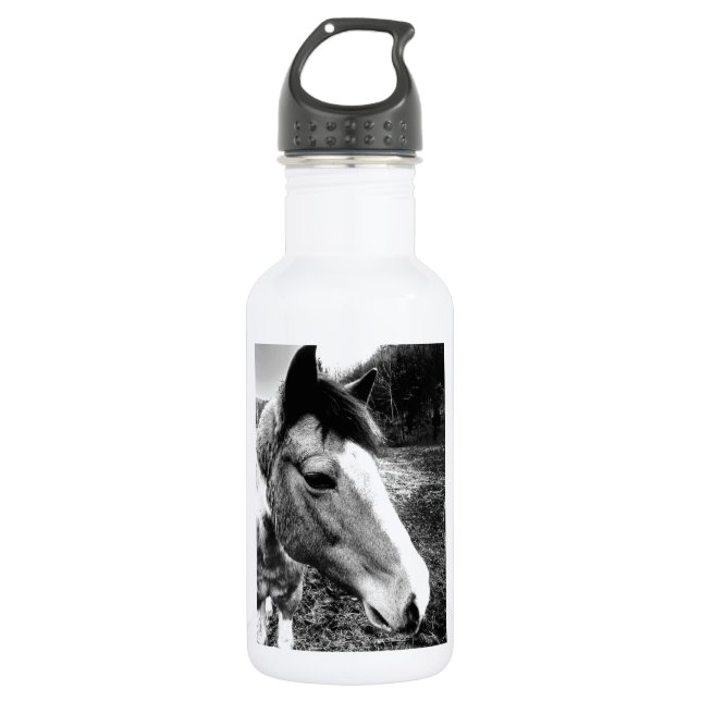 Bouteille D'eau En Acier Inoxydable Cheval (Devant)