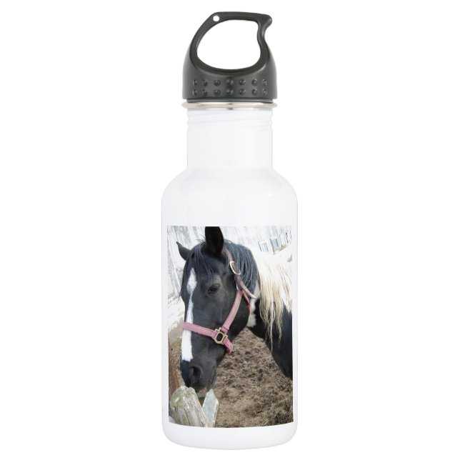 Bouteille D'eau En Acier Inoxydable Cheval Paint Pinto (Devant)