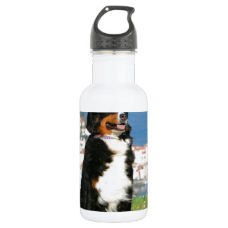 Bouteille D'eau En Acier Inoxydable chien de berger bernois posant à la plage
