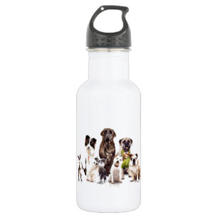 Bouteille D'eau En Acier Inoxydable Chiens