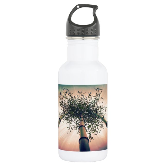 Bouteille D'eau En Acier Inoxydable Ciel de bambou (Devant)