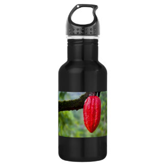Bouteille D'eau En Acier Inoxydable cocod