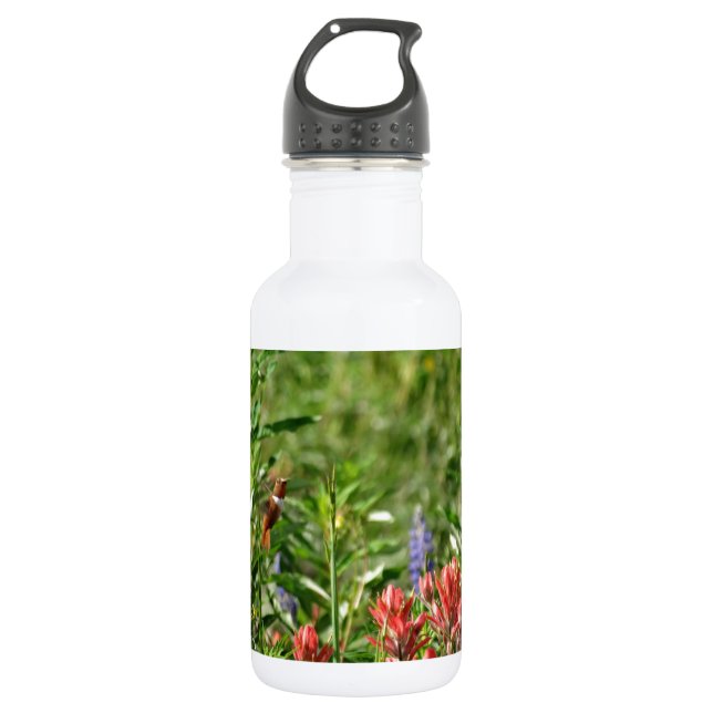 Bouteille D'eau En Acier Inoxydable Colibri en fleurs sauvages (Devant)