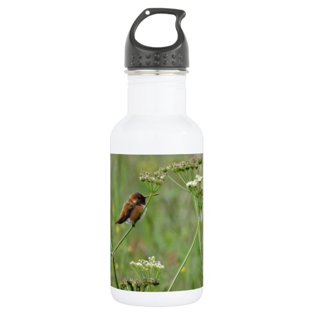 Bouteille D'eau En Acier Inoxydable Colibri : Oiseau en fleurs (Devant)