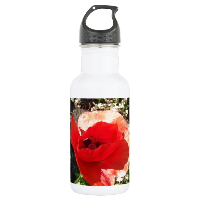 Bouteille D'eau En Acier Inoxydable Coquelicot rouge (Devant)